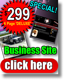 $99 Dollar Business Web Design