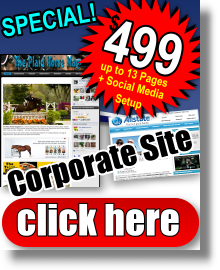 $499 Dollar Web Design Special